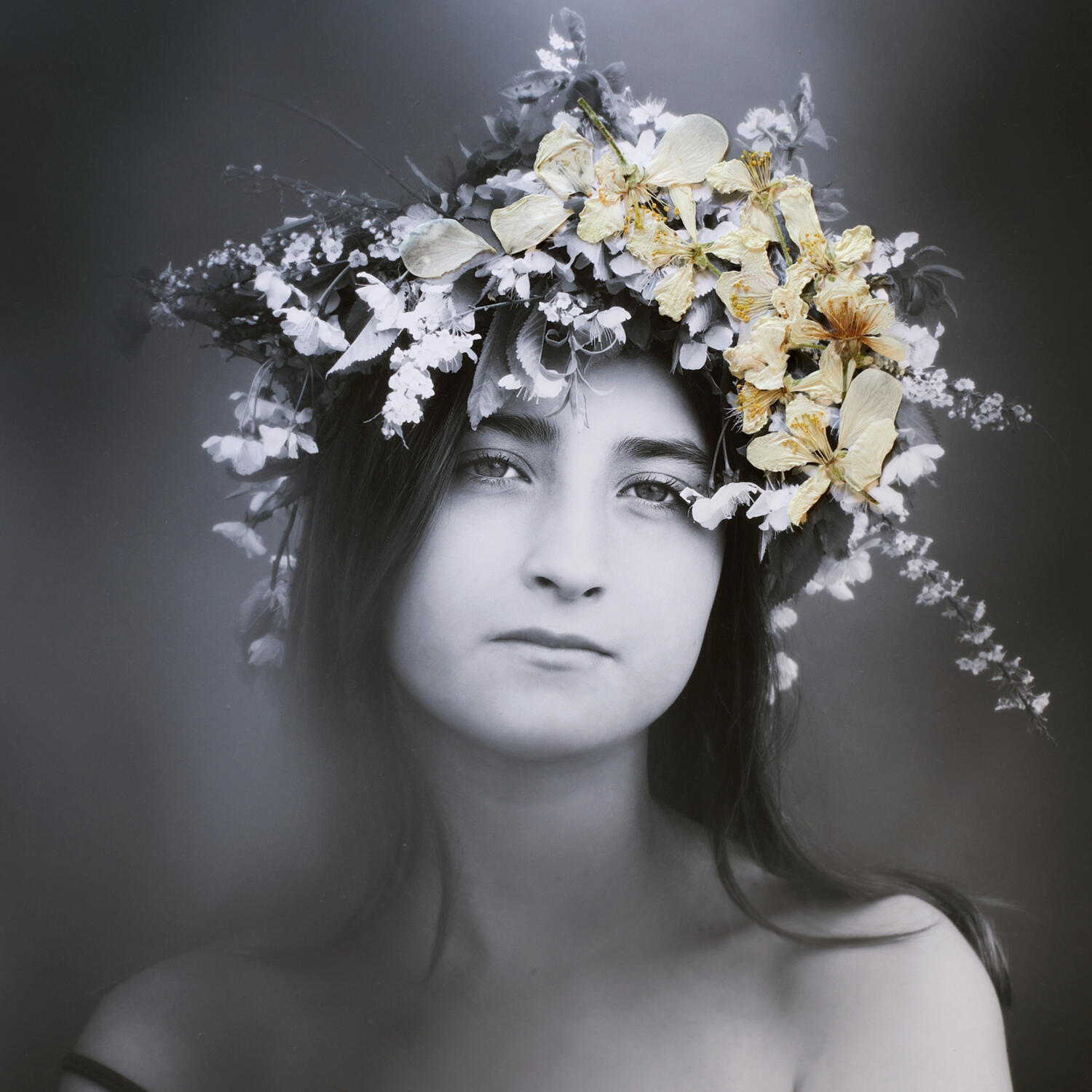 Untitled Untitled
